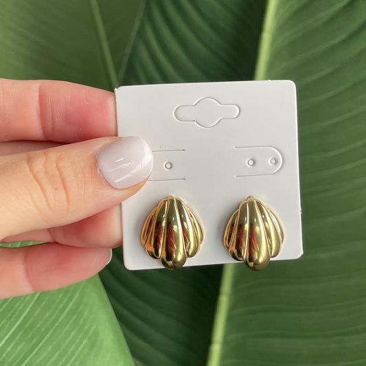 Sea shell earrings